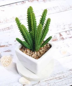 Silkflowersfactory Succulents Set Of 3 | 7