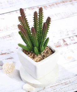Silkflowersfactory Succulents Set Of 3 | 7
