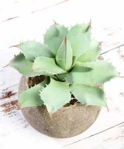 Silkflowersfactory Set Of 3 | 5