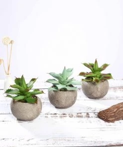 Silkflowersfactory Set Of 3 | 5