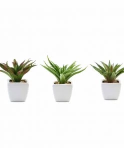 Silkflowersfactory Succulents Set Of 3 | 5