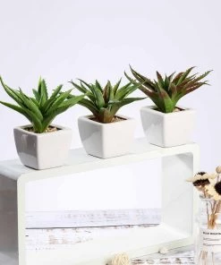 Silkflowersfactory Succulents Set Of 3 | 5