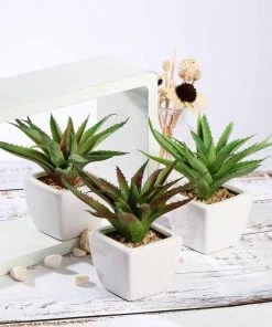 Silkflowersfactory Succulents Set Of 3 | 5