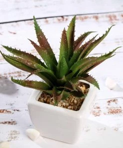 Silkflowersfactory Succulents Set Of 3 | 5