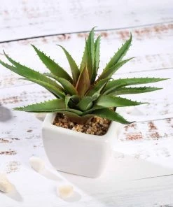 Silkflowersfactory Succulents Set Of 3 | 5