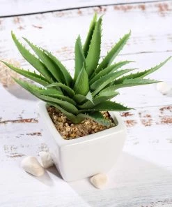 Silkflowersfactory Succulents Set Of 3 | 5