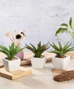 Silkflowersfactory Succulents Set Of 3 | 5
