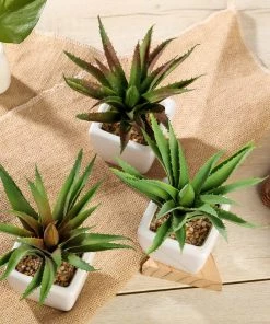 Silkflowersfactory Succulents Set Of 3 | 5
