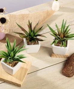Silkflowersfactory Succulents Set Of 3 | 5" Assorted Spotted Aloe Vera Artificial Plants With Pots