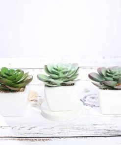 Silkflowersfactory Set Of 3 | 4