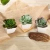 Silkflowersfactory Set Of 3 | 4" Assorted Echeveria Artificial Plants With Pots Succulents