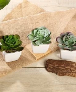 Silkflowersfactory Set Of 3 | 4" Assorted Echeveria Artificial Plants With Pots Succulents
