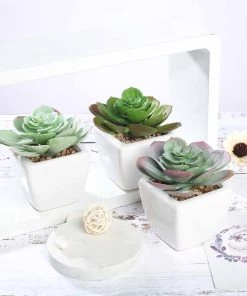 Silkflowersfactory Set Of 3 | 4" Assorted Echeveria Artificial Plants With Pots Succulents