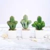 Silkflowersfactory Set Of 3 | 5" Assorted Cactus Artificial Plants With Pots Succulents