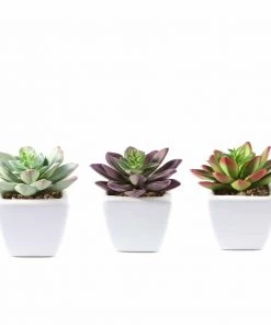 Silkflowersfactory Set Of 3 | 4'' Assorted Echeveria Artificial Plants With Pots