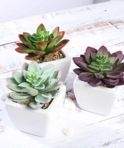 Silkflowersfactory Set Of 3 | 4'' Assorted Echeveria Artificial Plants With Pots