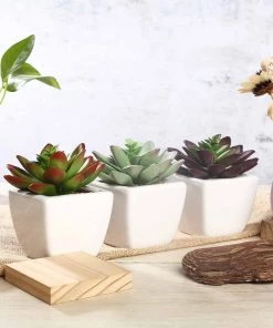 Silkflowersfactory Set Of 3 | 4'' Assorted Echeveria Artificial Plants With Pots