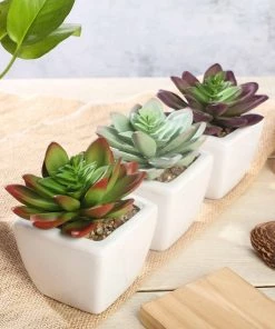 Silkflowersfactory Set Of 3 | 4'' Assorted Echeveria Artificial Plants With Pots