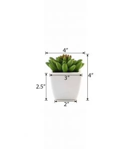 Silkflowersfactory Succulents Set Of 3 | 4'' Assorted Lotus Artificial Plants With Pots