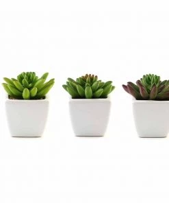 Silkflowersfactory Succulents Set Of 3 | 4'' Assorted Lotus Artificial Plants With Pots