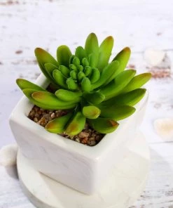 Silkflowersfactory Succulents Set Of 3 | 4'' Assorted Lotus Artificial Plants With Pots