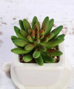 Silkflowersfactory Succulents Set Of 3 | 4'' Assorted Lotus Artificial Plants With Pots