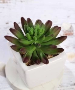 Silkflowersfactory Succulents Set Of 3 | 4'' Assorted Lotus Artificial Plants With Pots