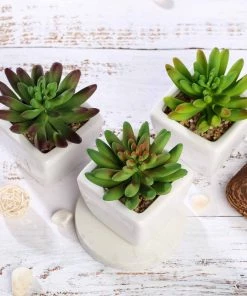 Silkflowersfactory Succulents Set Of 3 | 4'' Assorted Lotus Artificial Plants With Pots