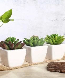 Silkflowersfactory Succulents Set Of 3 | 4'' Assorted Lotus Artificial Plants With Pots