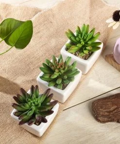 Silkflowersfactory Succulents Set Of 3 | 4'' Assorted Lotus Artificial Plants With Pots