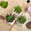 Silkflowersfactory Succulents Set Of 3 | 4'' Assorted Lotus Artificial Plants With Pots