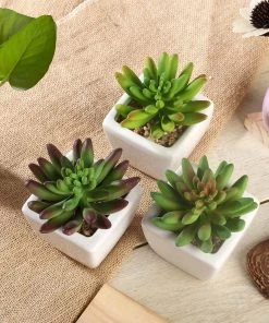 Silkflowersfactory Succulents Set Of 3 | 4'' Assorted Lotus Artificial Plants With Pots