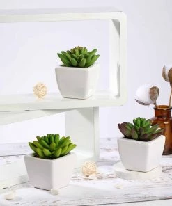 Silkflowersfactory Succulents Set Of 3 | 4'' Assorted Lotus Artificial Plants With Pots
