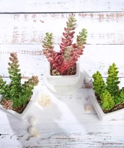 Silkflowersfactory Succulents Set Of 3 | 8'' Assorted Sedum Oaxacanum Artificial Plants With Pots