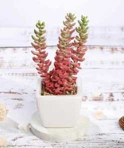 Silkflowersfactory Succulents Set Of 3 | 8'' Assorted Sedum Oaxacanum Artificial Plants With Pots