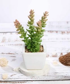 Silkflowersfactory Succulents Set Of 3 | 8'' Assorted Sedum Oaxacanum Artificial Plants With Pots