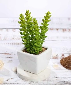 Silkflowersfactory Succulents Set Of 3 | 8'' Assorted Sedum Oaxacanum Artificial Plants With Pots