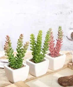 Silkflowersfactory Succulents Set Of 3 | 8'' Assorted Sedum Oaxacanum Artificial Plants With Pots
