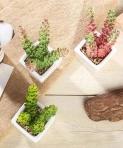 Silkflowersfactory Succulents Set Of 3 | 8'' Assorted Sedum Oaxacanum Artificial Plants With Pots
