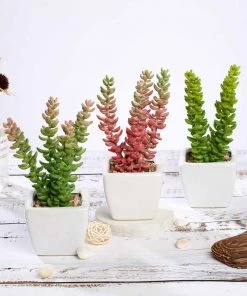 Silkflowersfactory Succulents Set Of 3 | 8'' Assorted Sedum Oaxacanum Artificial Plants With Pots