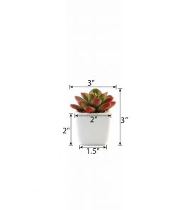 Silkflowersfactory Succulents Set Of 3 | 3'' Assorted Mini Echeveria Artificial Plants With Pots