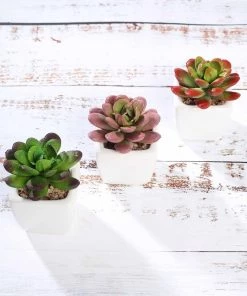 Silkflowersfactory Succulents Set Of 3 | 3'' Assorted Mini Echeveria Artificial Plants With Pots