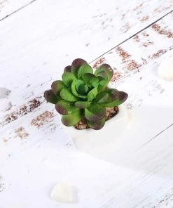 Silkflowersfactory Succulents Set Of 3 | 3'' Assorted Mini Echeveria Artificial Plants With Pots