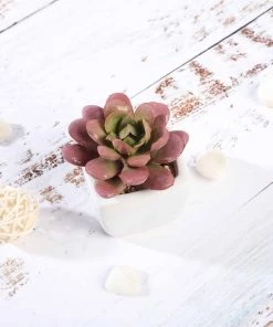 Silkflowersfactory Succulents Set Of 3 | 3'' Assorted Mini Echeveria Artificial Plants With Pots