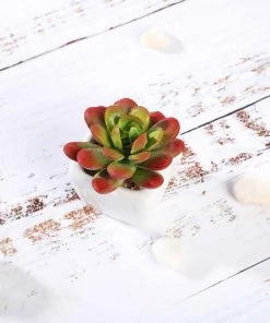 Silkflowersfactory Succulents Set Of 3 | 3'' Assorted Mini Echeveria Artificial Plants With Pots