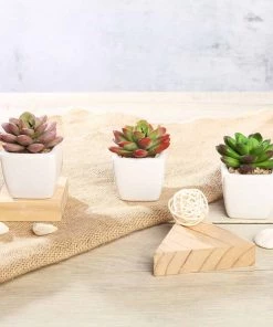 Silkflowersfactory Succulents Set Of 3 | 3'' Assorted Mini Echeveria Artificial Plants With Pots