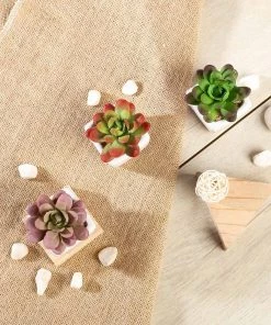 Silkflowersfactory Succulents Set Of 3 | 3'' Assorted Mini Echeveria Artificial Plants With Pots
