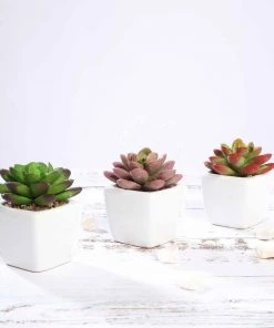 Silkflowersfactory Succulents Set Of 3 | 3'' Assorted Mini Echeveria Artificial Plants With Pots