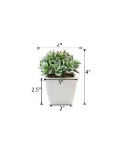 Silkflowersfactory Succulents Set Of 3 | 4'' Assorted Green Echeveria Artificial Plants With Pots