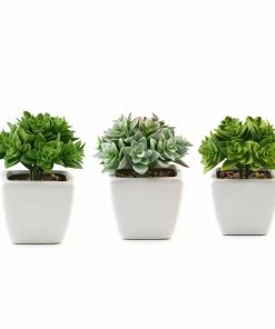Silkflowersfactory Succulents Set Of 3 | 4'' Assorted Green Echeveria Artificial Plants With Pots